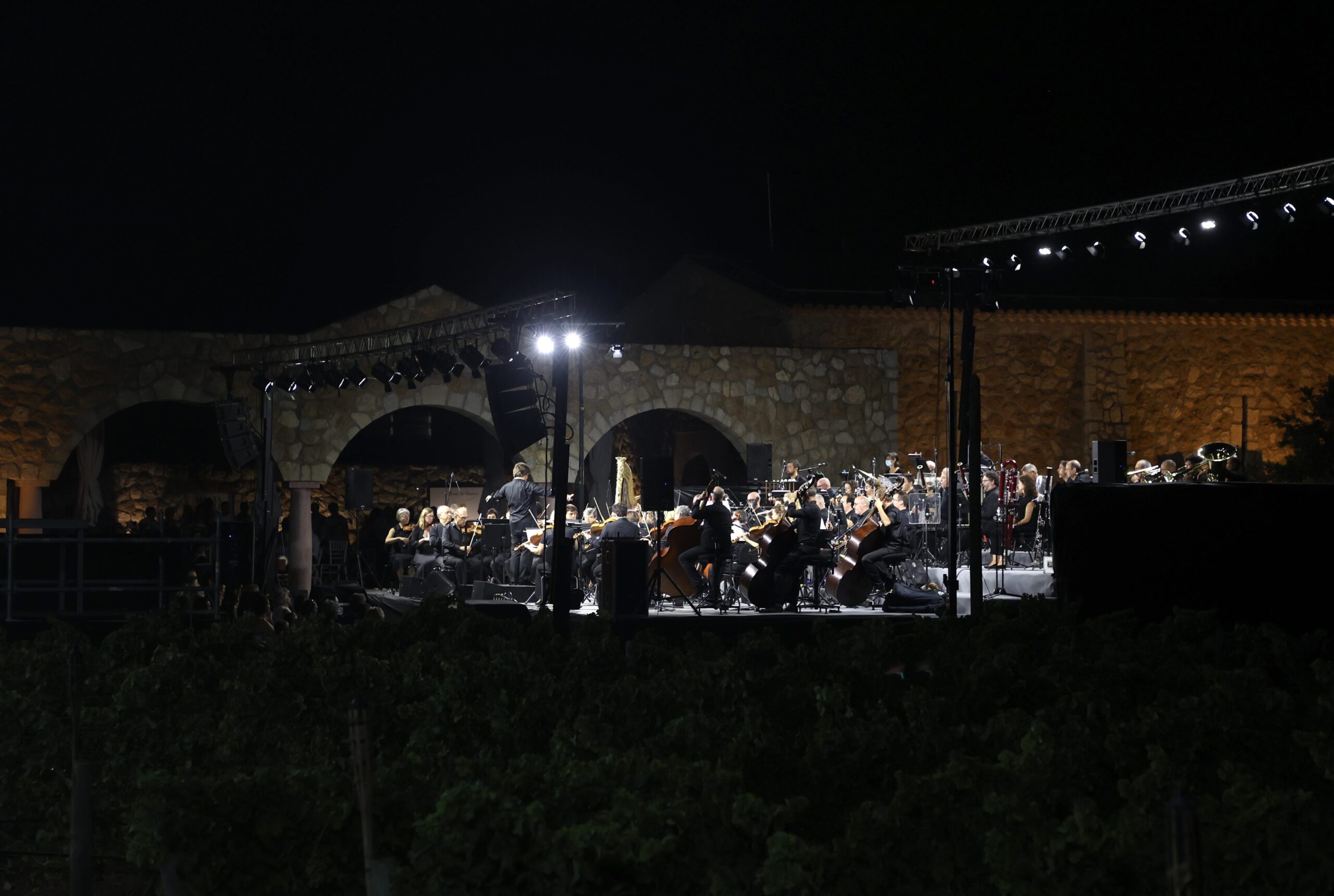 Palma Pilar Pellicer Discreto uh BODEGAS MACIÀ BATLE. ZONA VIP CONCERT DE LA LLUNA A LES VINYES.