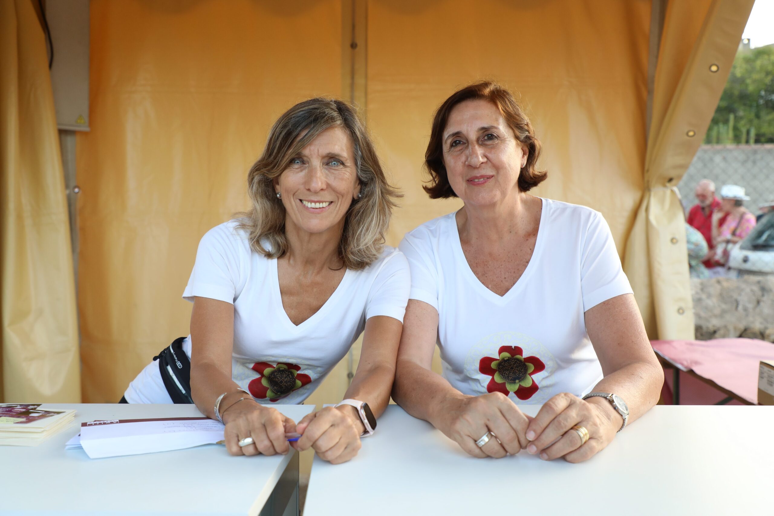 Palma, Discreto, Bergas, Concert de la Lluna a les Vinyes, Bergas, Grup Serra